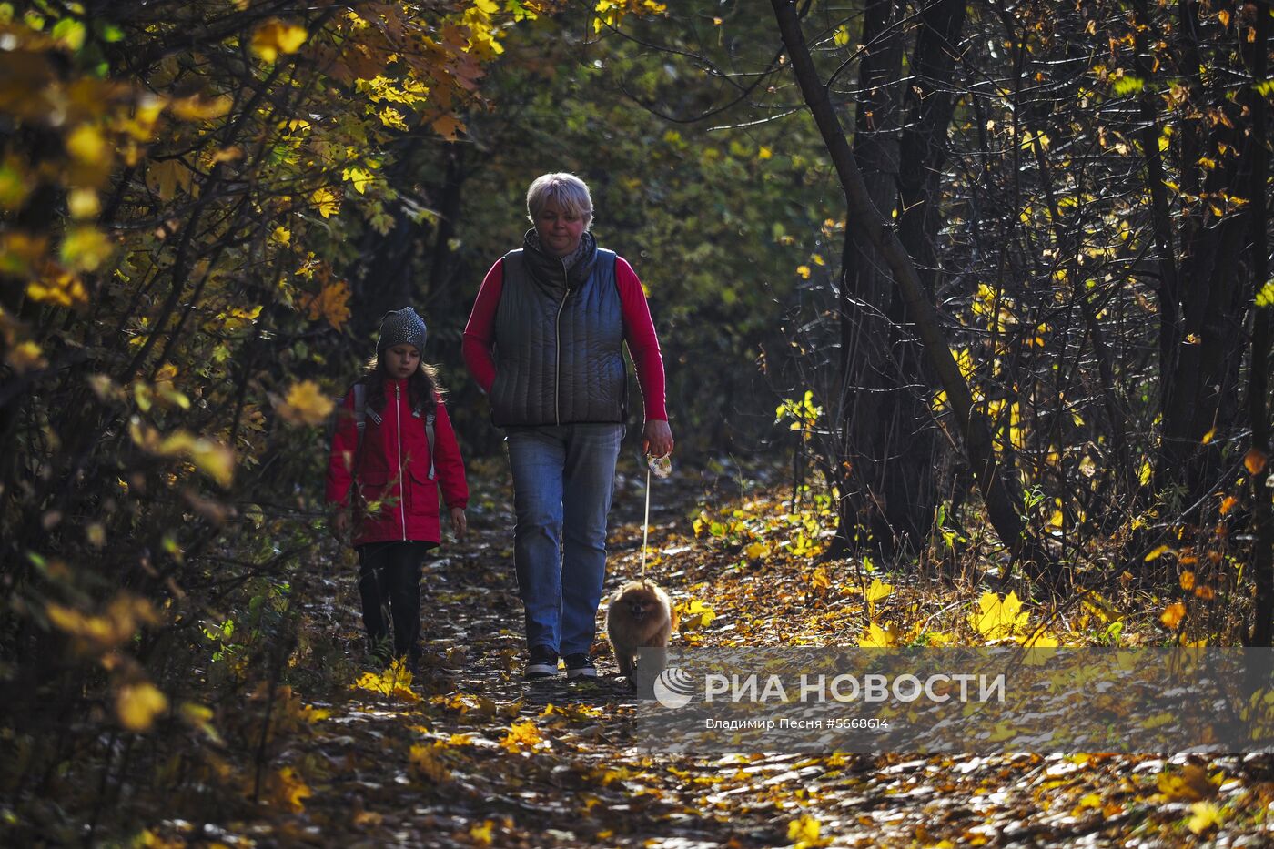 Осень в Москве