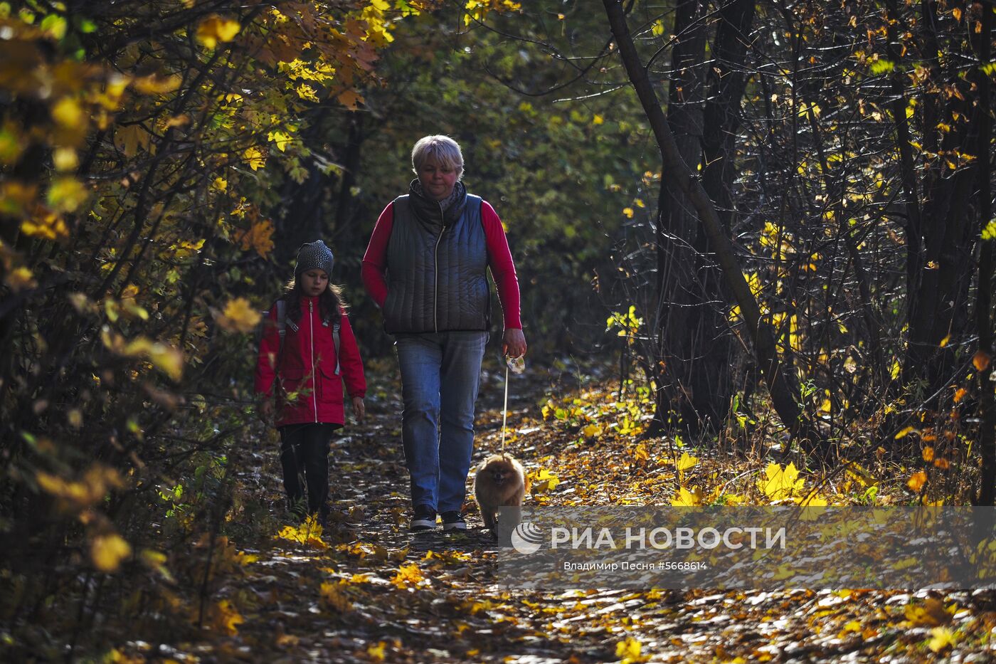 Осень в Москве