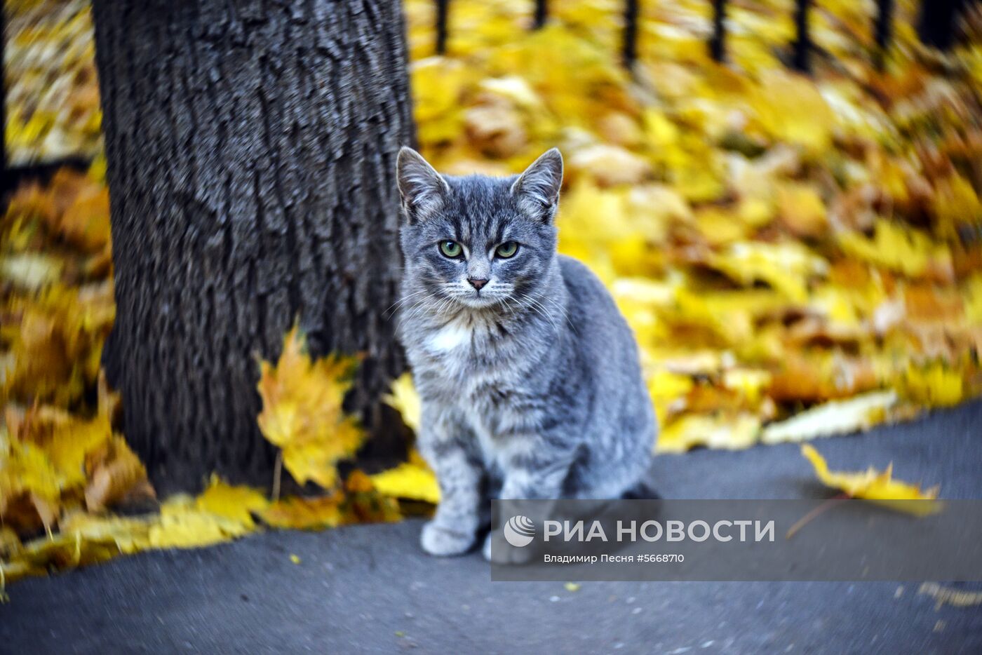Осень в Москве