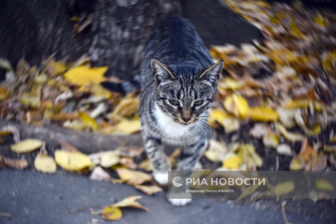Осень в Москве