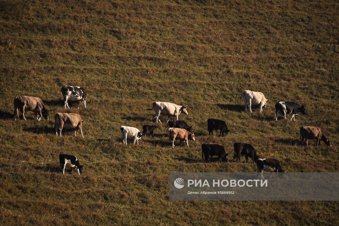 Регионы России. Карачаево-Черкесия