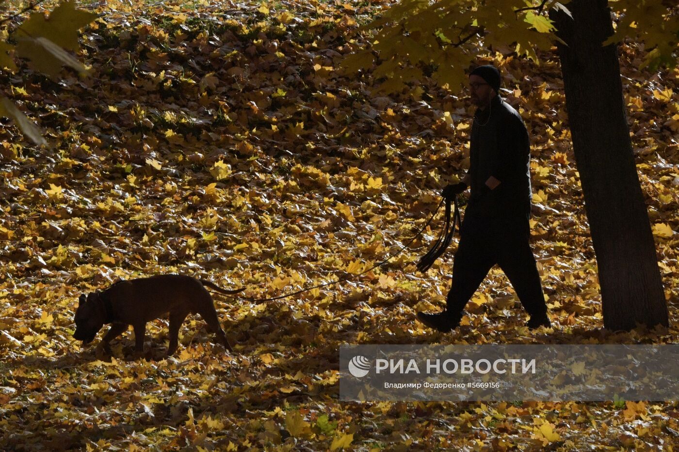 Осень в Москве