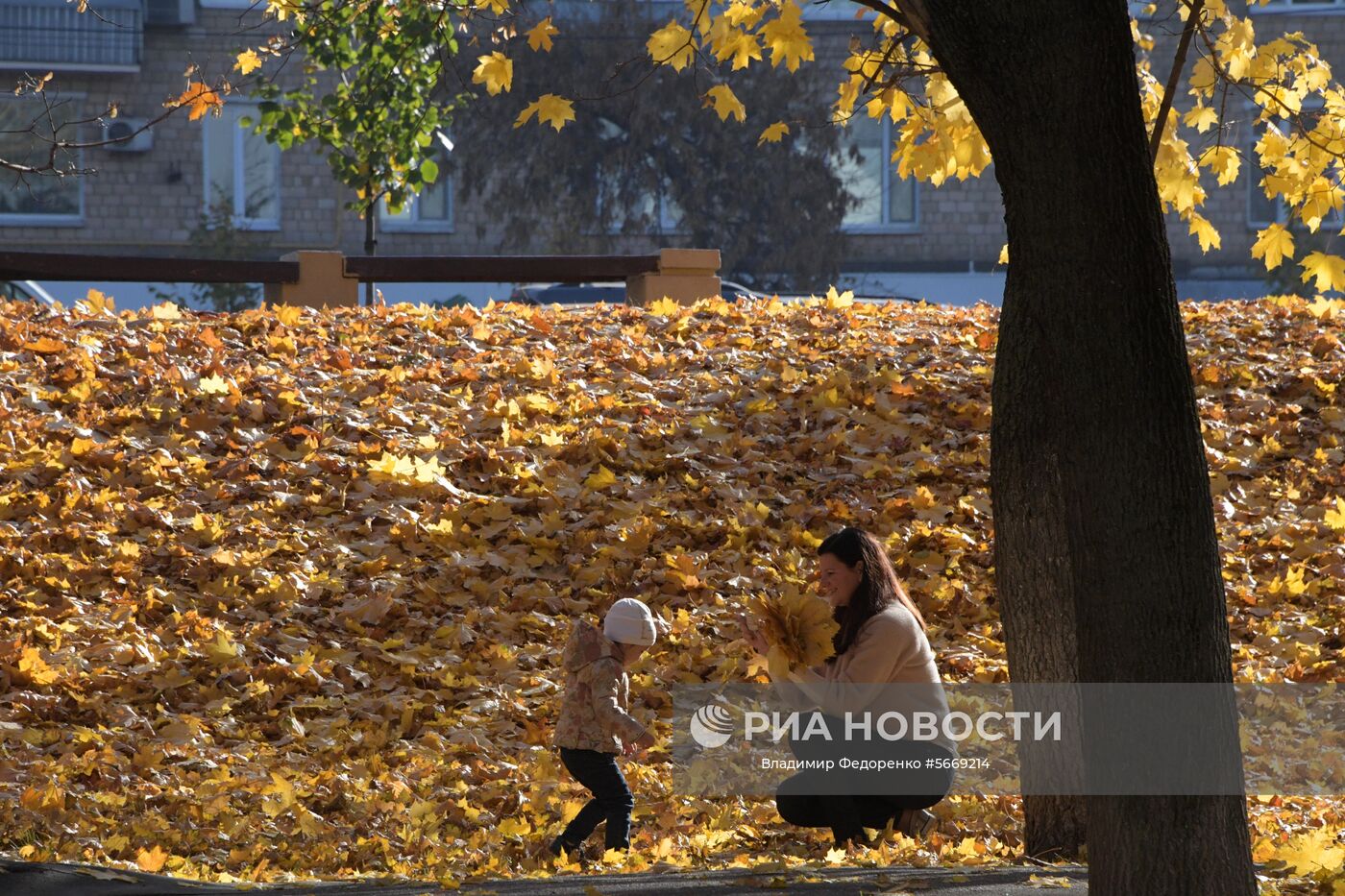 Осень в Москве