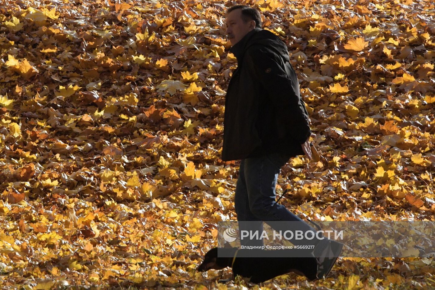 Осень в Москве