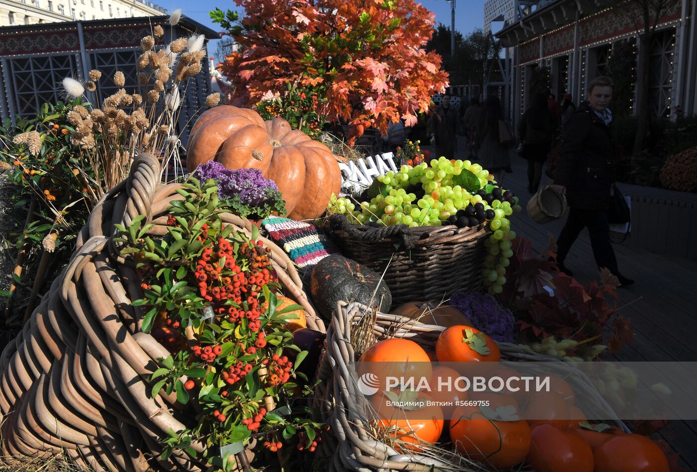 Фестиваль “Осенние дары Азербайджана”