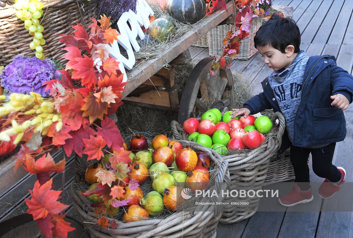 Фестиваль “Осенние дары Азербайджана”