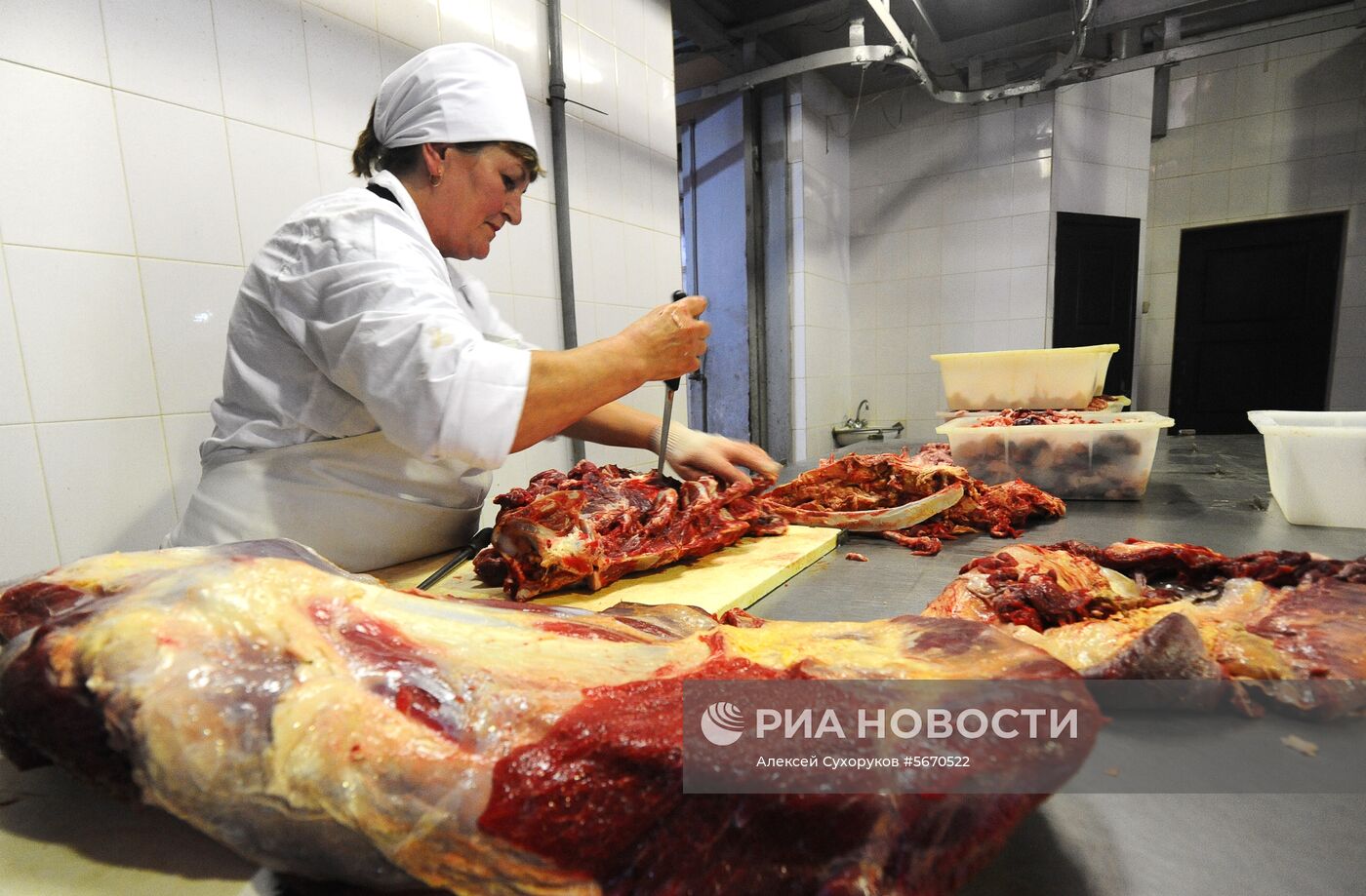 Колбасное производство в Тамбовской области