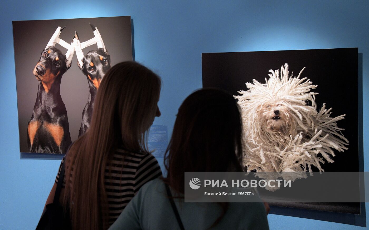 Фотовыставка "Неестественный отбор"