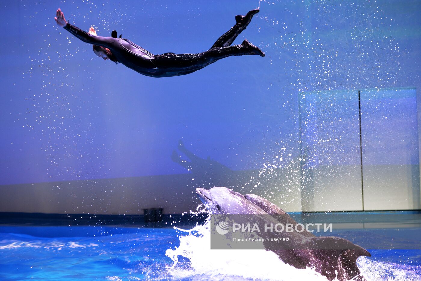 Океанариум и дельфинарий в Екатеринбурге