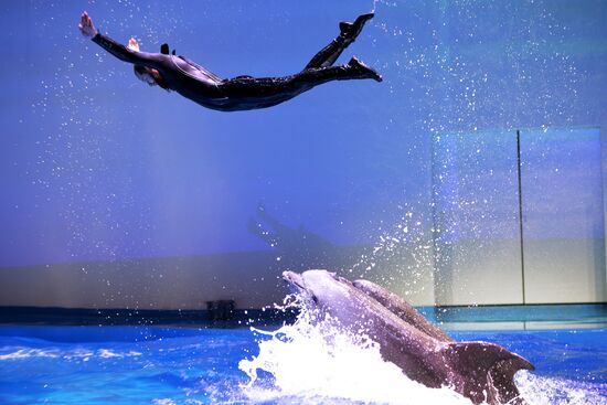 Океанариум и дельфинарий в Екатеринбурге