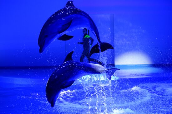 Океанариум и дельфинарий в Екатеринбурге