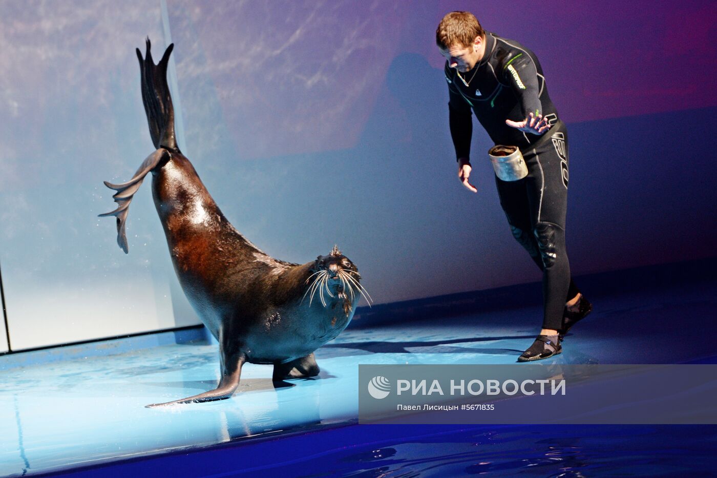 Океанариум и дельфинарий в Екатеринбурге