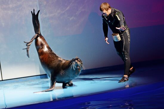 Океанариум и дельфинарий в Екатеринбурге