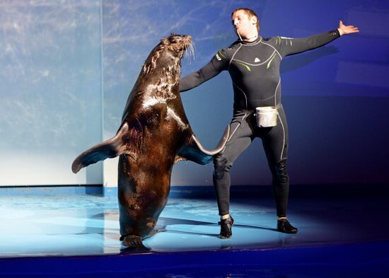 Океанариум и дельфинарий в Екатеринбурге