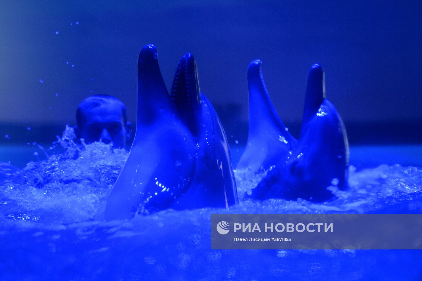 Океанариум и дельфинарий в Екатеринбурге