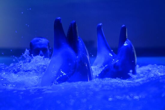 Океанариум и дельфинарий в Екатеринбурге