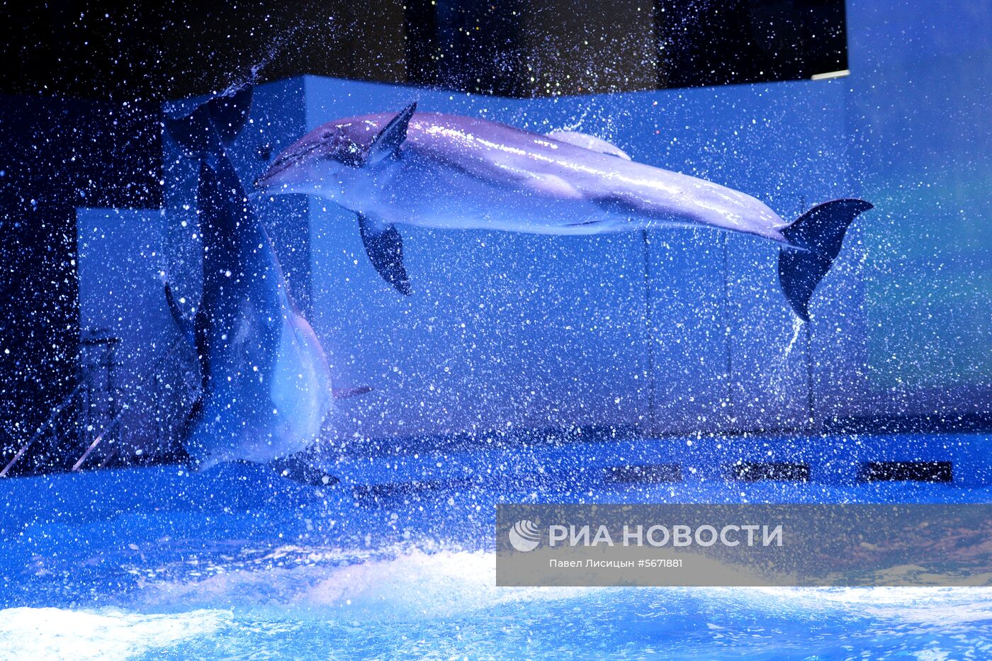 Океанариум и дельфинарий в Екатеринбурге