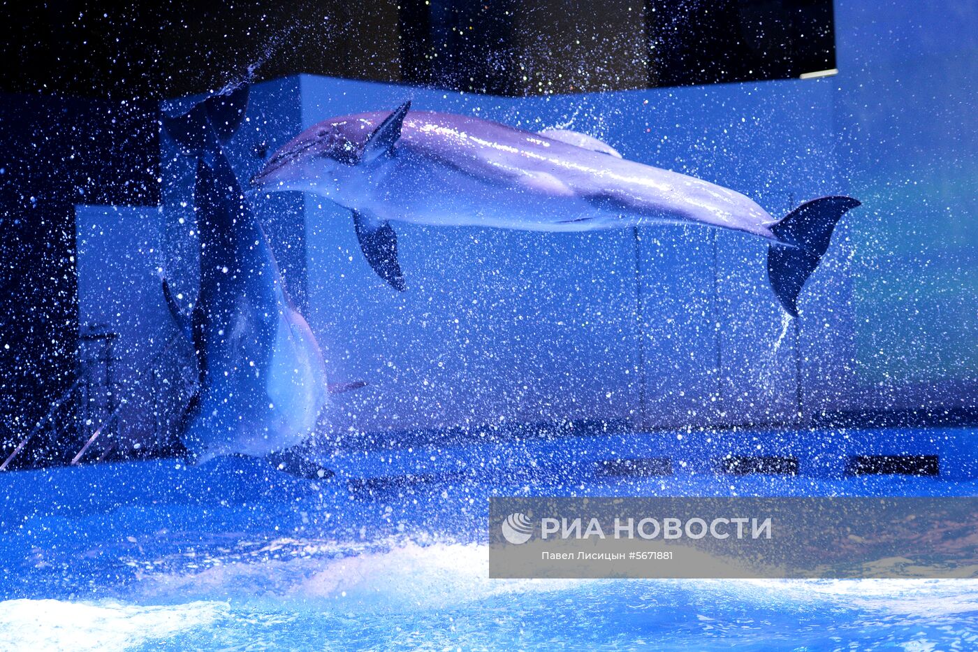Океанариум и дельфинарий в Екатеринбурге