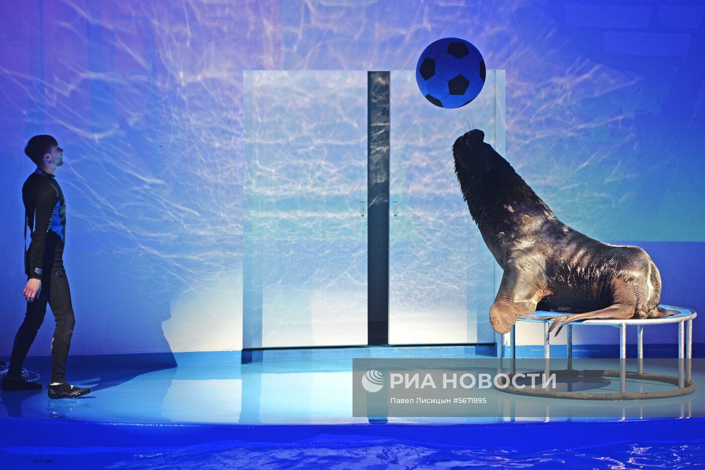 Океанариум и дельфинарий в Екатеринбурге