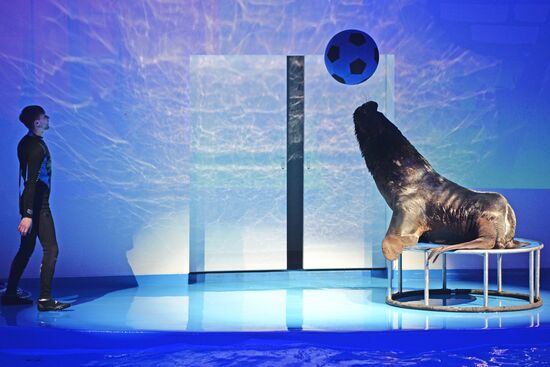 Океанариум и дельфинарий в Екатеринбурге