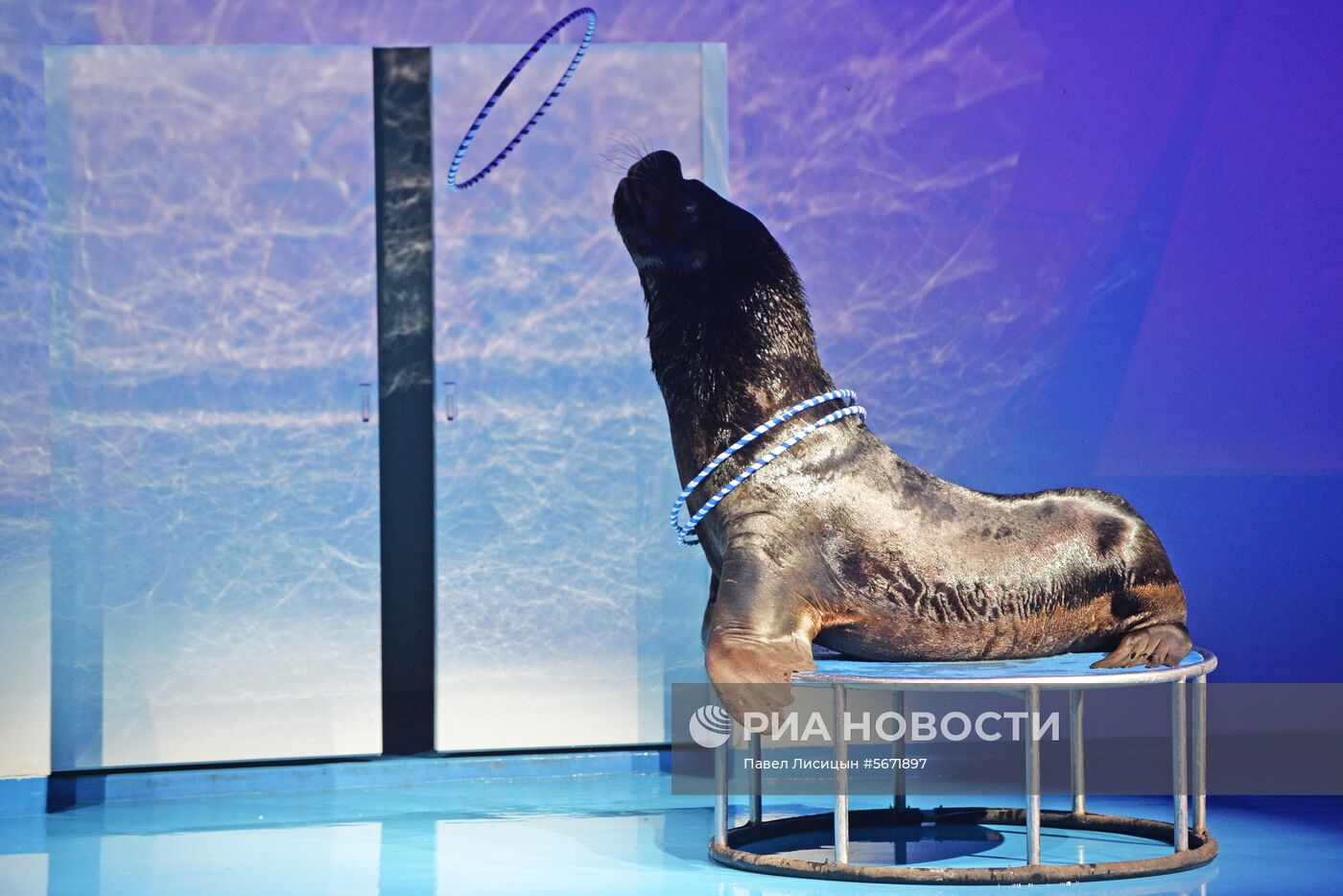 Океанариум и дельфинарий в Екатеринбурге