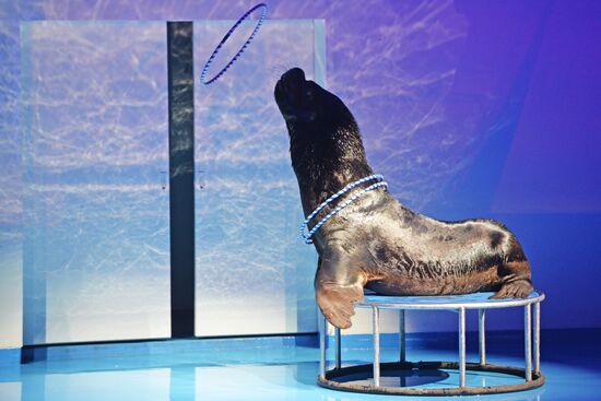 Океанариум и дельфинарий в Екатеринбурге