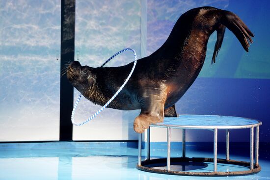 Океанариум и дельфинарий в Екатеринбурге