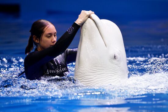 Океанариум и дельфинарий в Екатеринбурге
