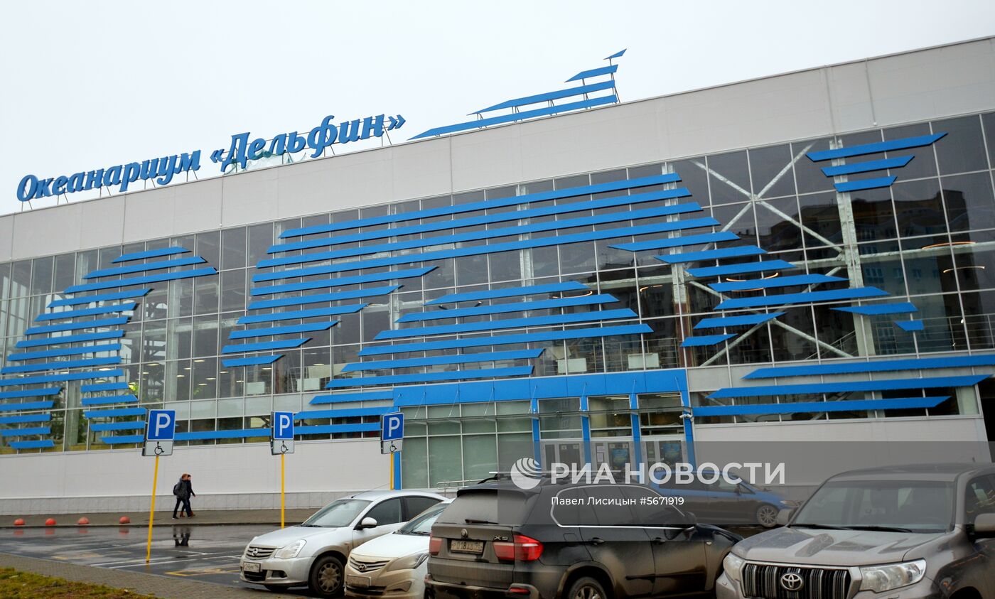 Океанариум и дельфинарий в Екатеринбурге