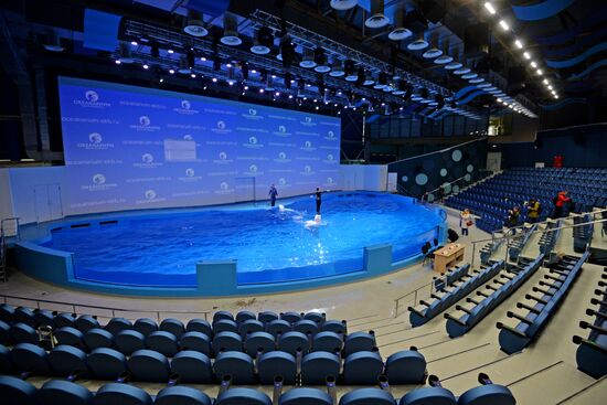 Океанариум и дельфинарий в Екатеринбурге