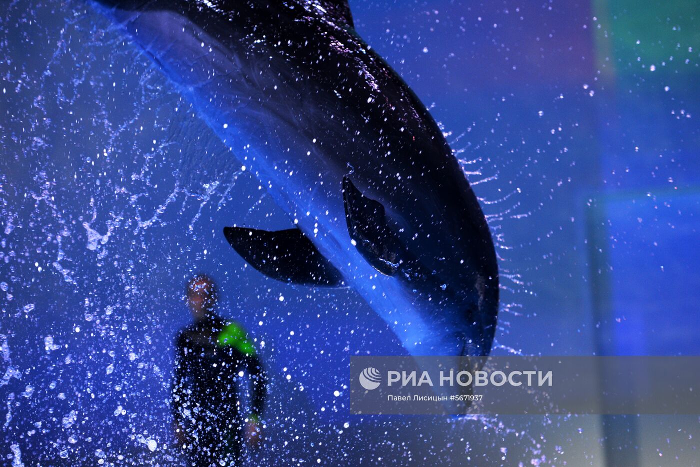 Океанариум и дельфинарий в Екатеринбурге