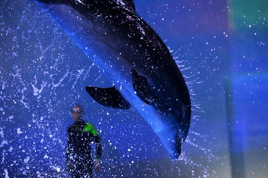 Океанариум и дельфинарий в Екатеринбурге