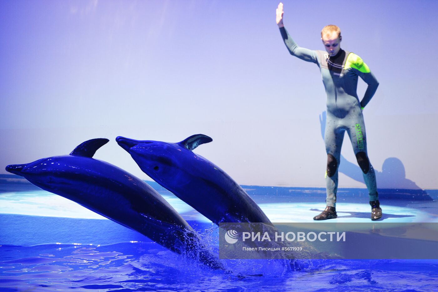 Океанариум и дельфинарий в Екатеринбурге