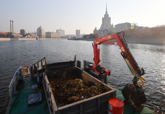 Уборка мусора в акватории Москвы-реки