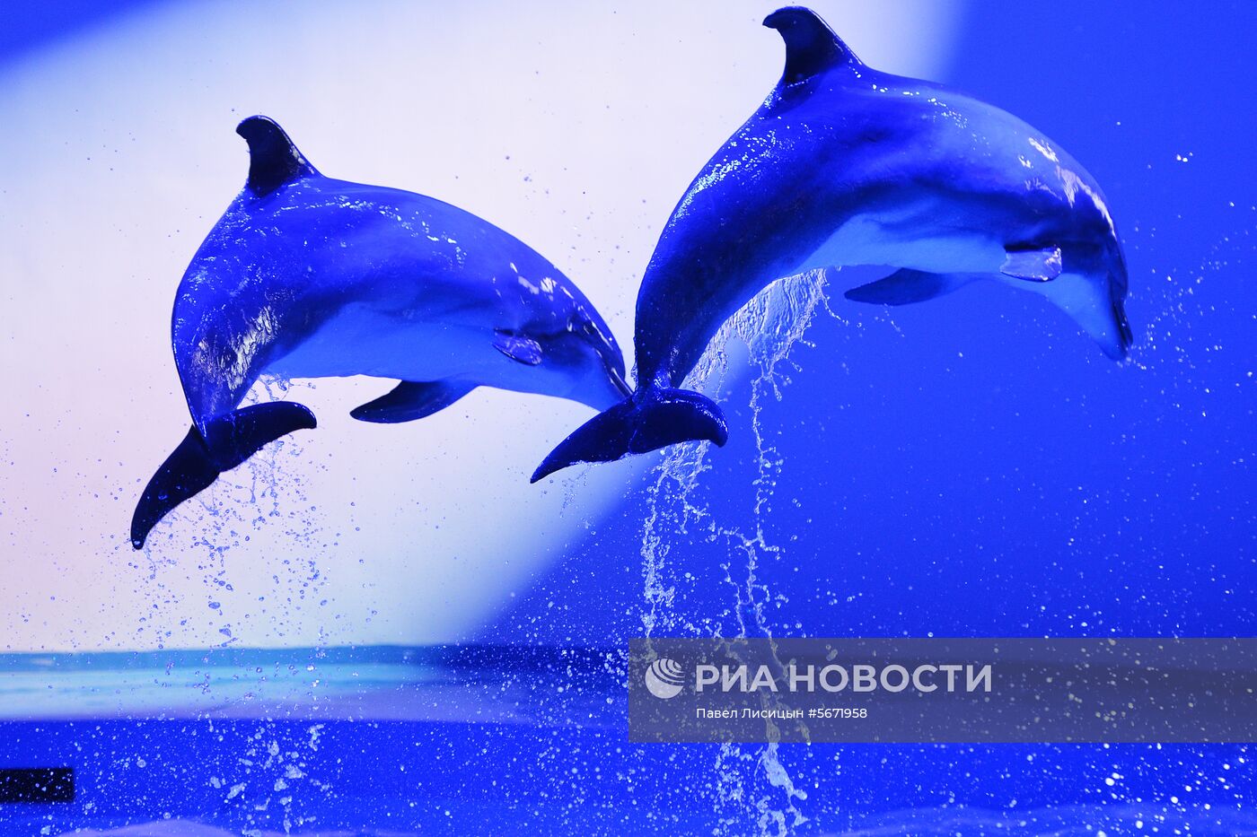 Океанариум и дельфинарий в Екатеринбурге