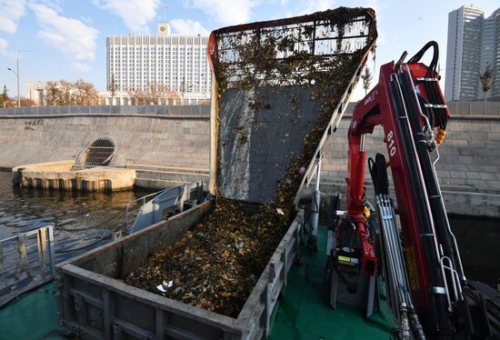 Уборка мусора в акватории Москвы-реки