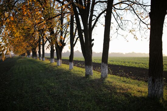 Регионы России. Адыгея