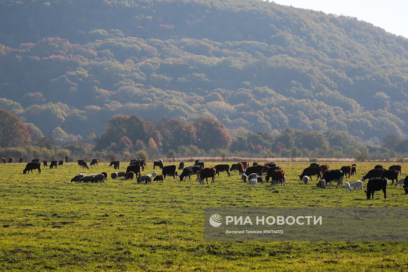 Регионы России. Адыгея