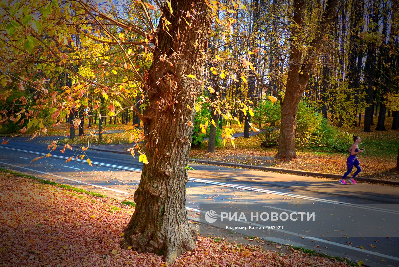 Девушка бегает в Нескучном саду в Москве. Место: Россия, Москва. Автор: Владимир Вяткин/РИА Новости. Осень в Москве