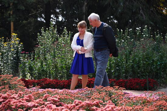 Выставка хризантем "Осенний блюз" в Никитском ботаническом саду 