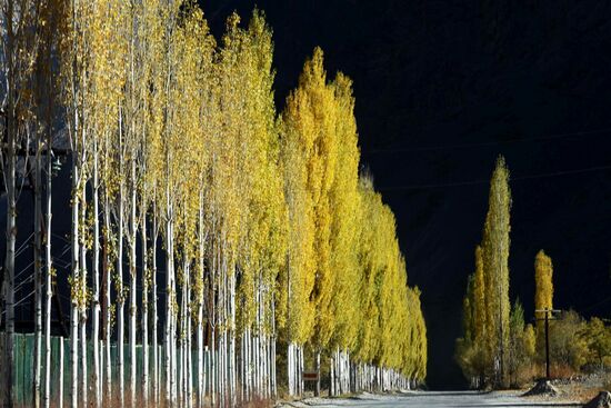 Страны мира. Таджикистан