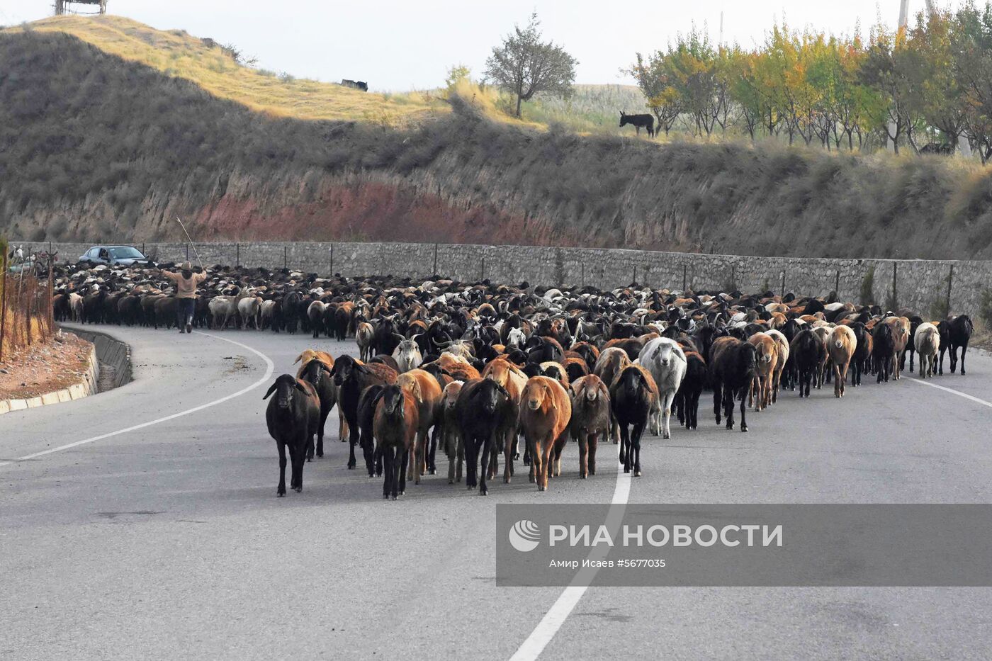 Страны мира. Таджикистан