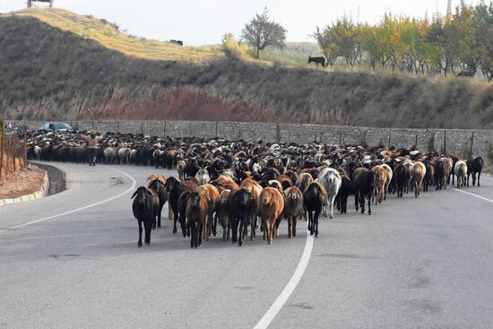 Страны мира. Таджикистан