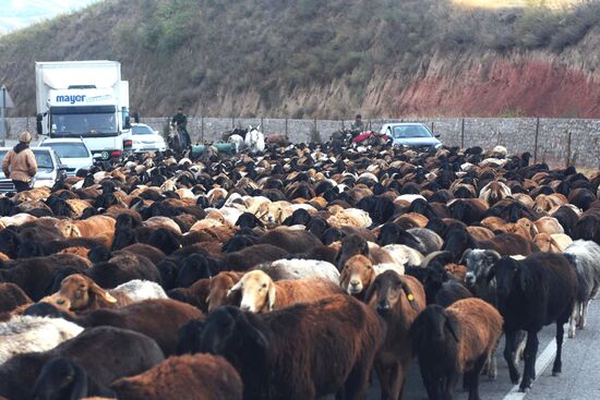 Страны мира. Таджикистан