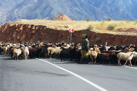 Страны мира. Таджикистан