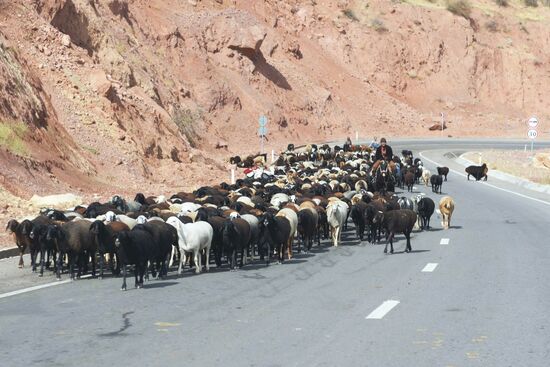 Страны мира. Таджикистан