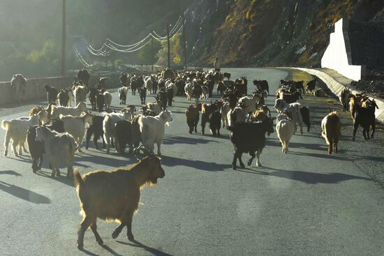 Страны мира. Таджикистан