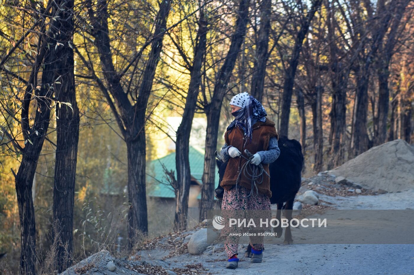 Страны мира. Таджикистан
