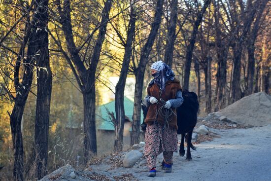 Страны мира. Таджикистан
