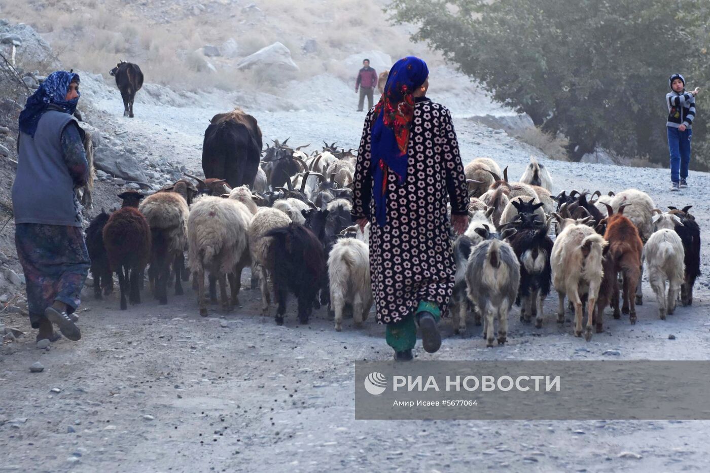 Страны мира. Таджикистан